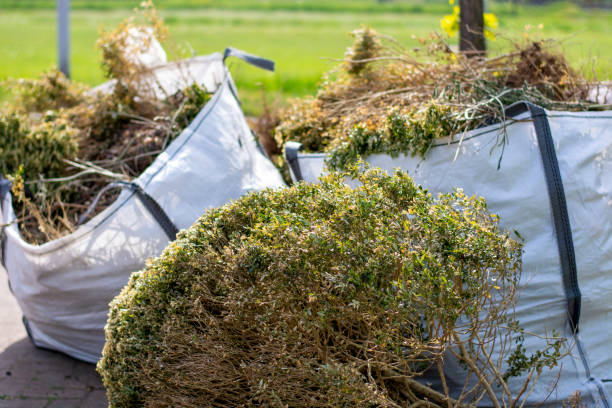 Best Dumpster Rental Services  in Brownstown, IN